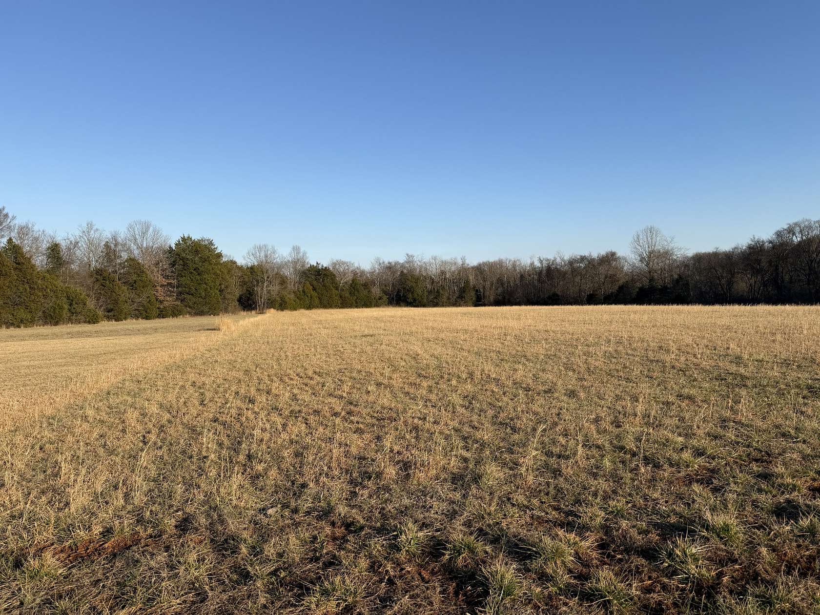8 Acres of Residential Land for Sale in Unionville, Tennessee