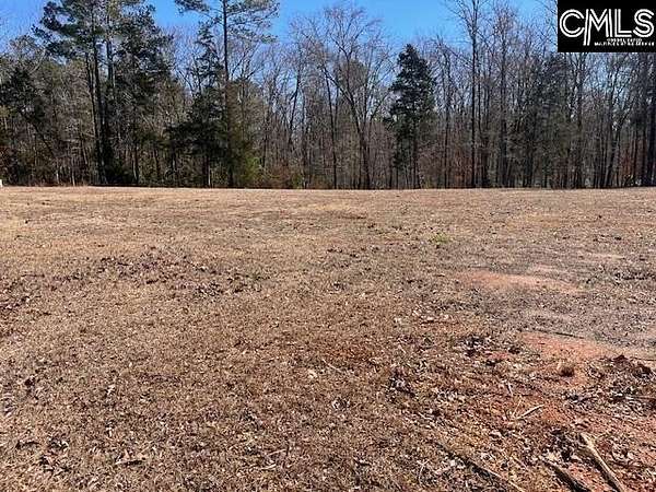 1 Acre of Residential Land for Sale in Prosperity, South Carolina