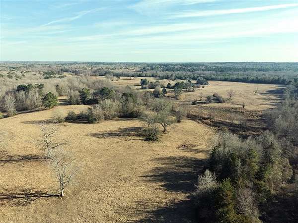90.5 Acres of Agricultural Land for Sale in Pittsburg, Texas