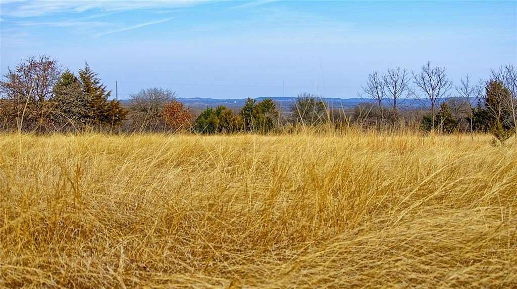 33.8 Acres of Recreational & Residential Land for Sale in St. Jo, Texas