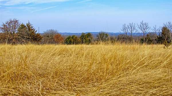 33.8 Acres of Recreational & Residential Land for Sale in St. Jo, Texas