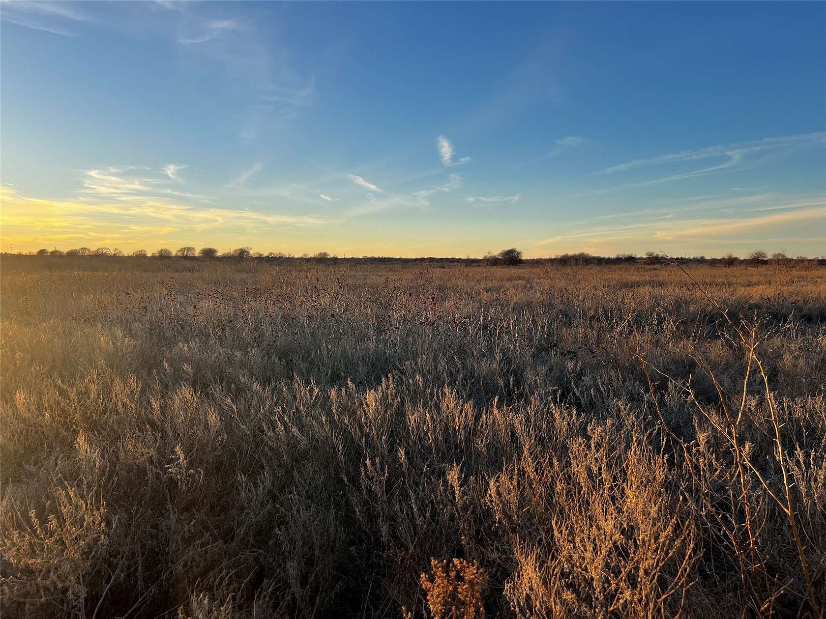 10 Acres of Land for Sale in Bellevue, Texas