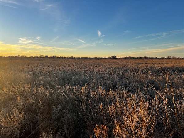 10 Acres of Agricultural Land for Sale in Bellevue, Texas