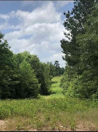 35 Acres of Land for Sale in Gilmer, Texas