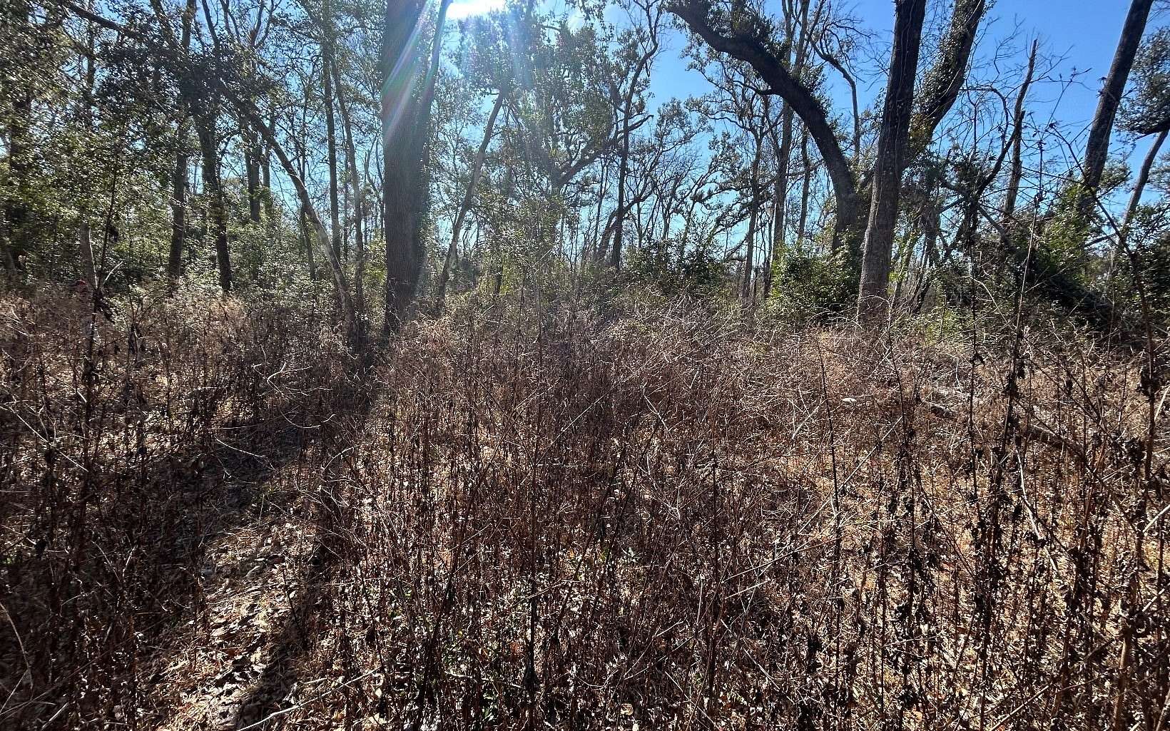 1.26 Acres of Residential Land for Sale in Live Oak, Florida