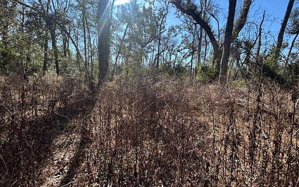 1.26 Acres of Residential Land for Sale in Live Oak, Florida
