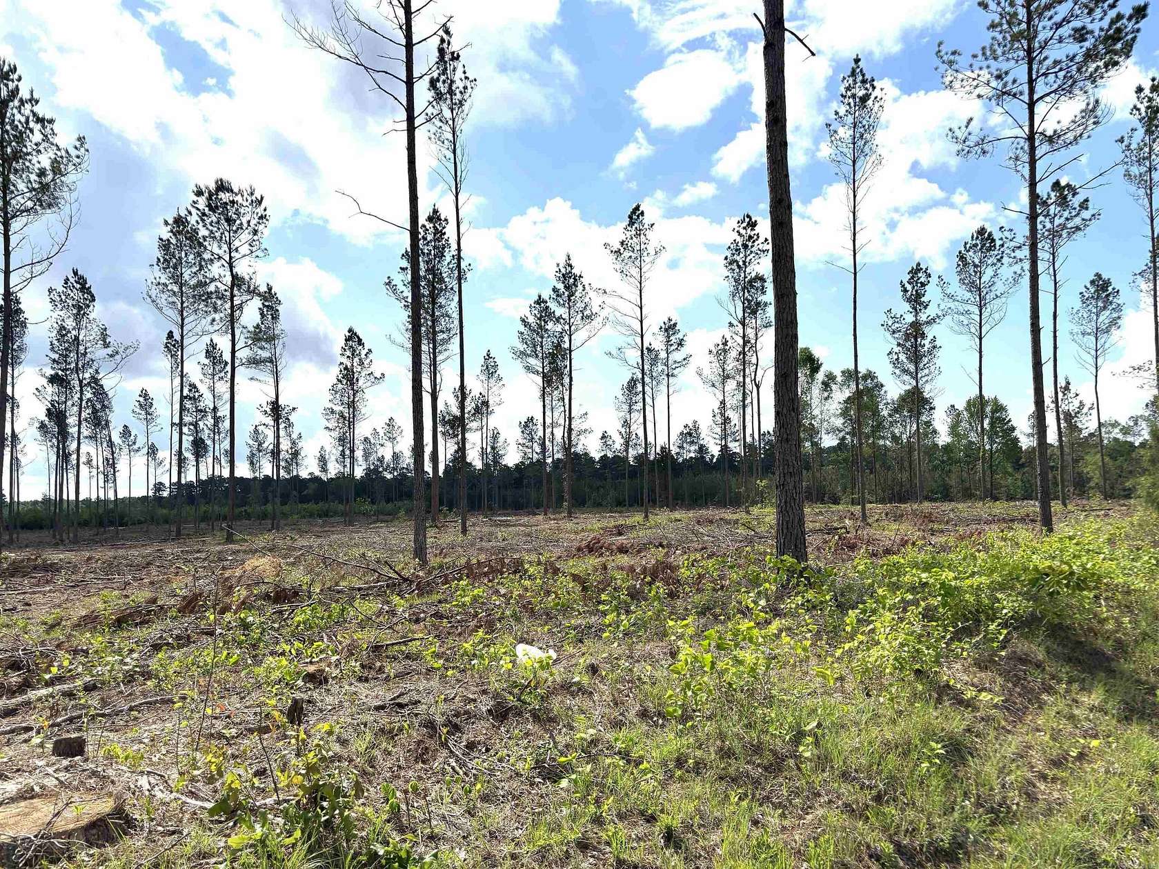 3 Acres of Land for Sale in Sheridan, Arkansas