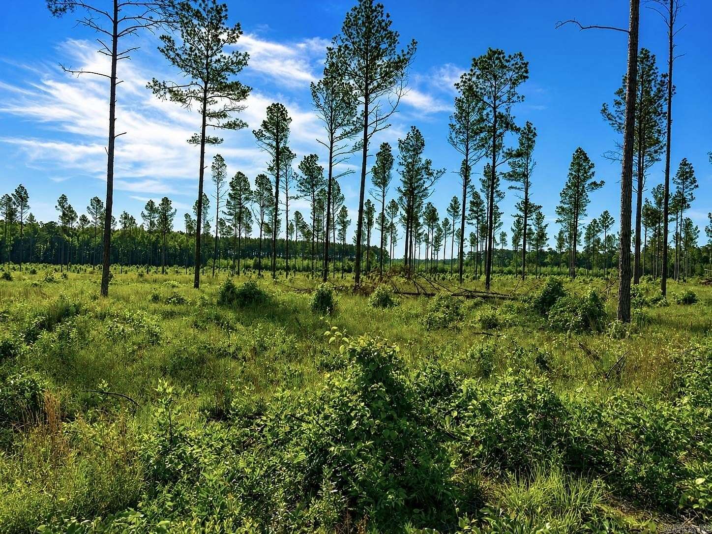 3 Acres of Land for Sale in Sheridan, Arkansas