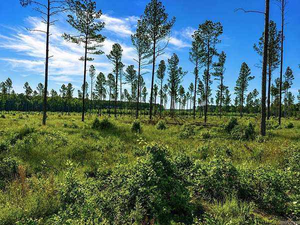 3 Acres of Land for Sale in Sheridan, Arkansas