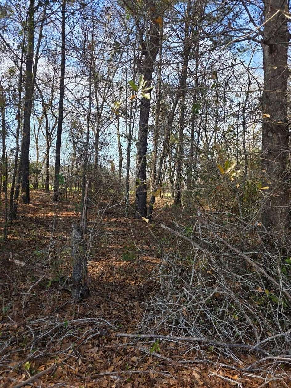 9.2 Acres of Residential Land for Sale in Islandton, South Carolina