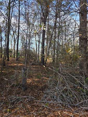 9.2 Acres of Residential Land for Sale in Islandton, South Carolina