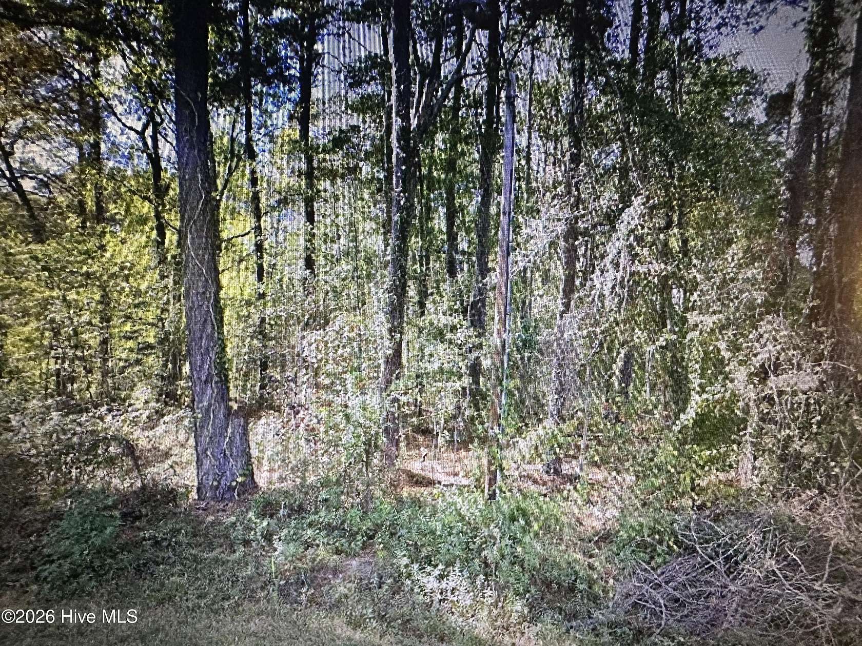 1.2 Acres of Residential Land for Sale in Lake Waccamaw, North Carolina