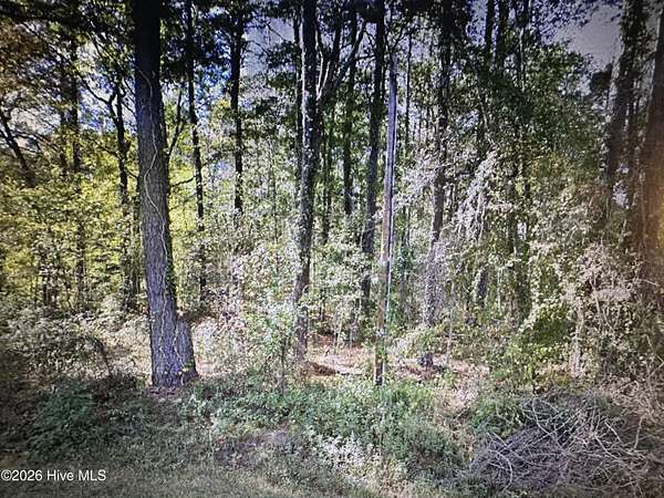 1.2 Acres of Residential Land for Sale in Lake Waccamaw, North Carolina