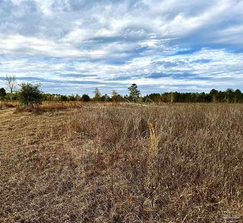 10 Acres of Land for Sale in Gretna, Florida