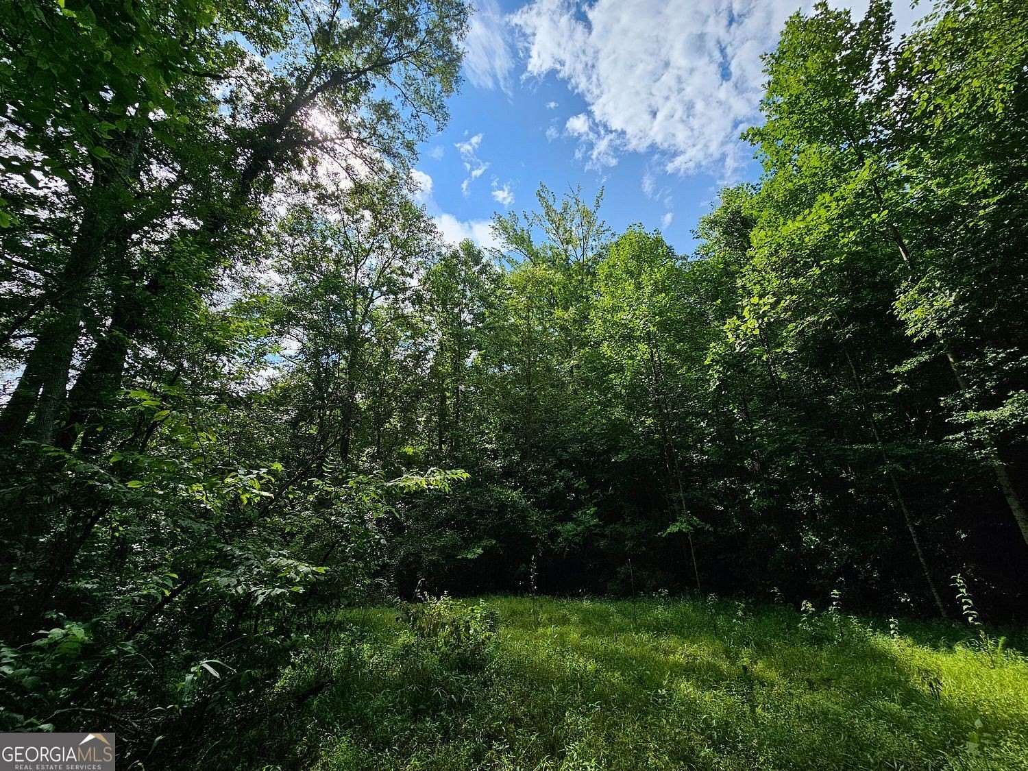 20.1 Acres of Recreational Land for Sale in Temple, Georgia