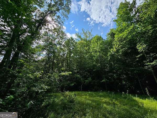 20.1 Acres of Recreational Land for Sale in Temple, Georgia