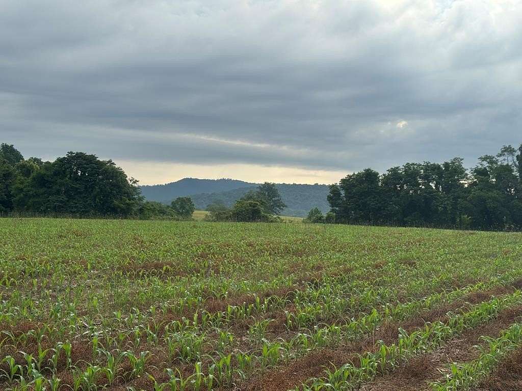 27.4 Acres of Commercial Land for Sale in Byrdstown, Tennessee