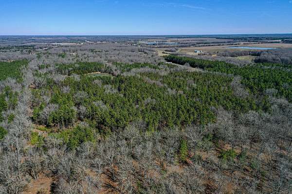47.4 Acres of Recreational Land for Sale in West Point, Mississippi