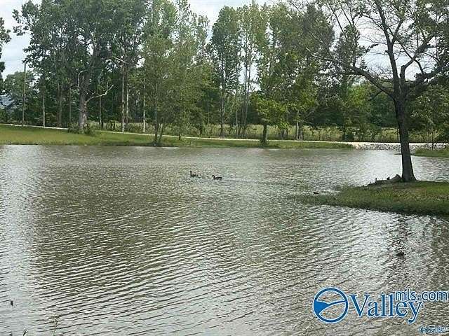 Residential Land for Sale in Cedar Bluff, Alabama