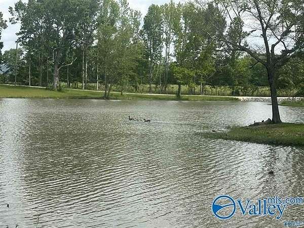 Residential Land for Sale in Cedar Bluff, Alabama