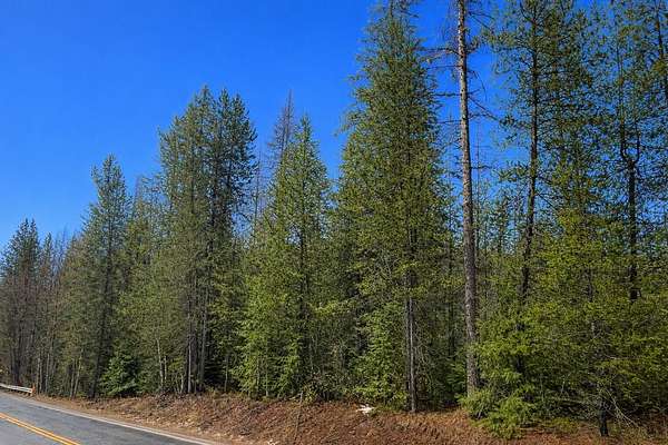 15.5 Acres of Recreational Land for Sale in Loon Lake, Washington