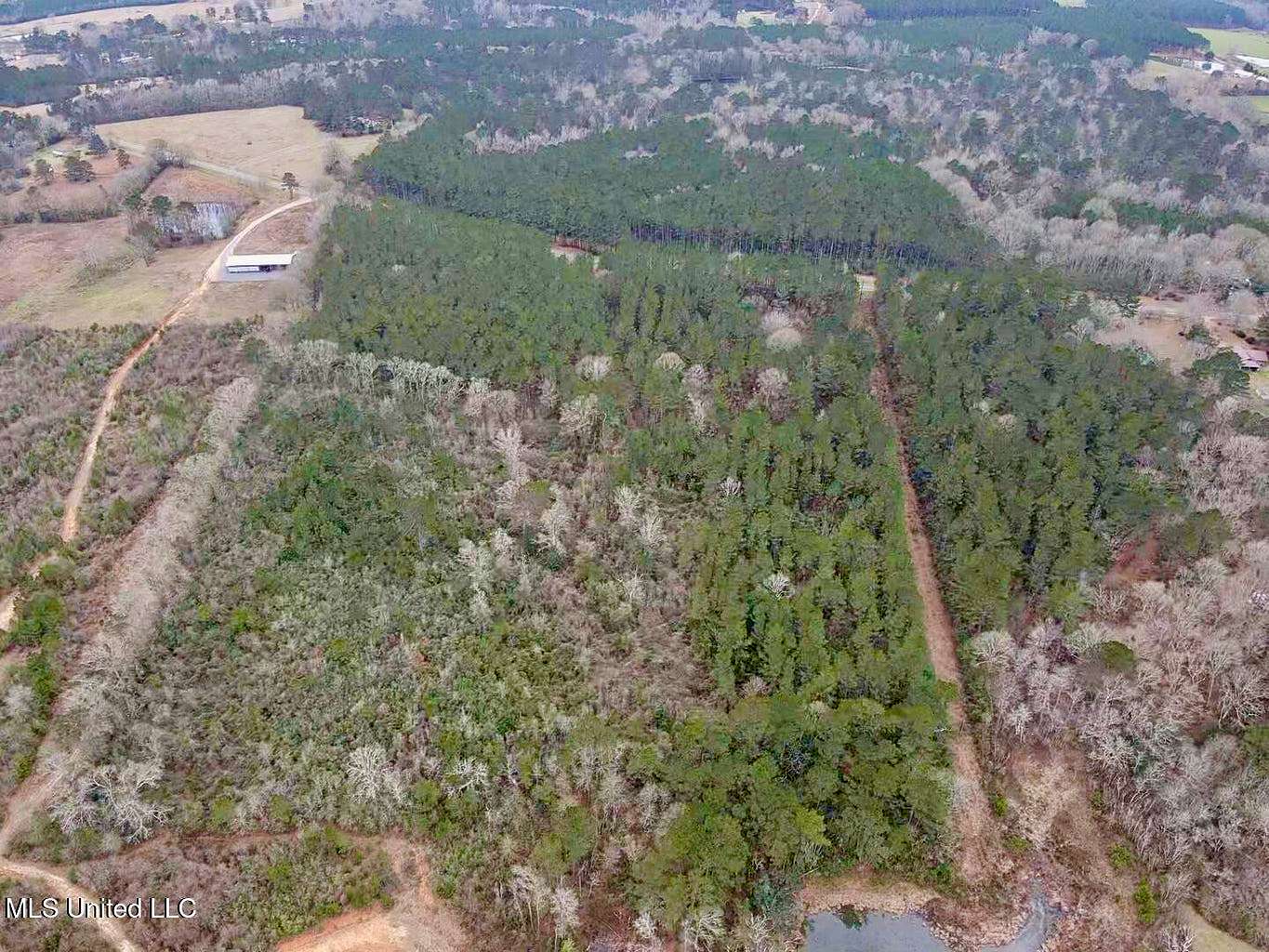 18 Acres of Land for Sale in Magnolia, Mississippi