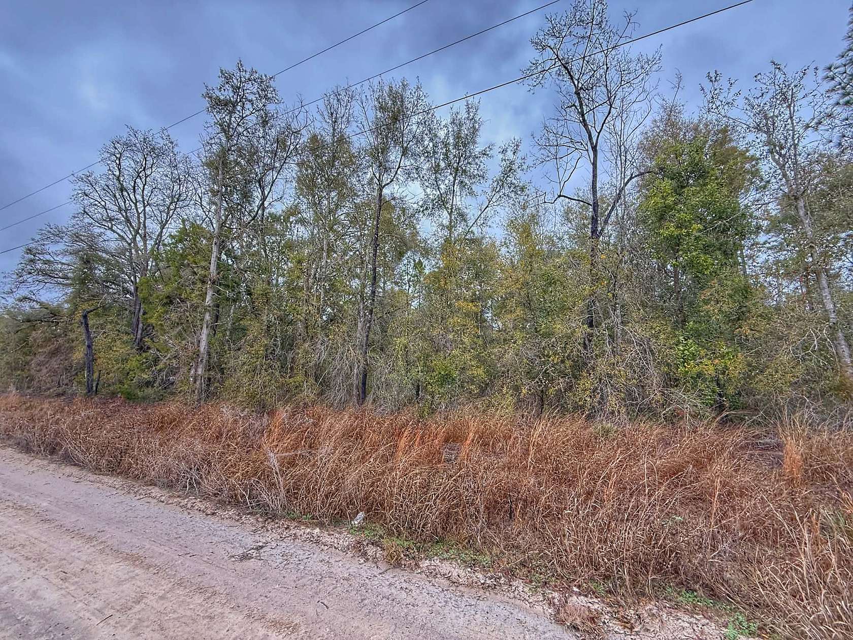 1 Acre of Residential Land for Sale in Bell, Florida