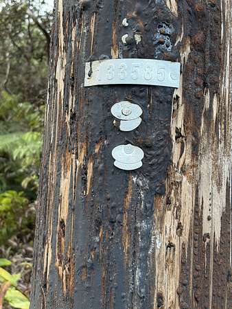 0.46 Acres of Residential Land for Sale in Volcano, Hawaii