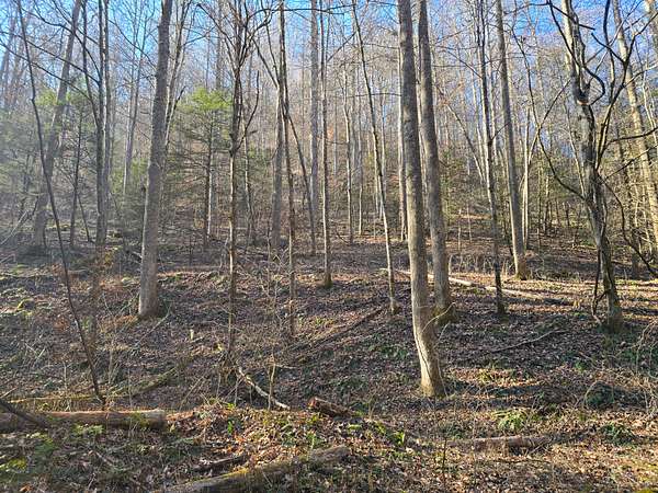 131 Acres of Land for Auction in Bee, Virginia