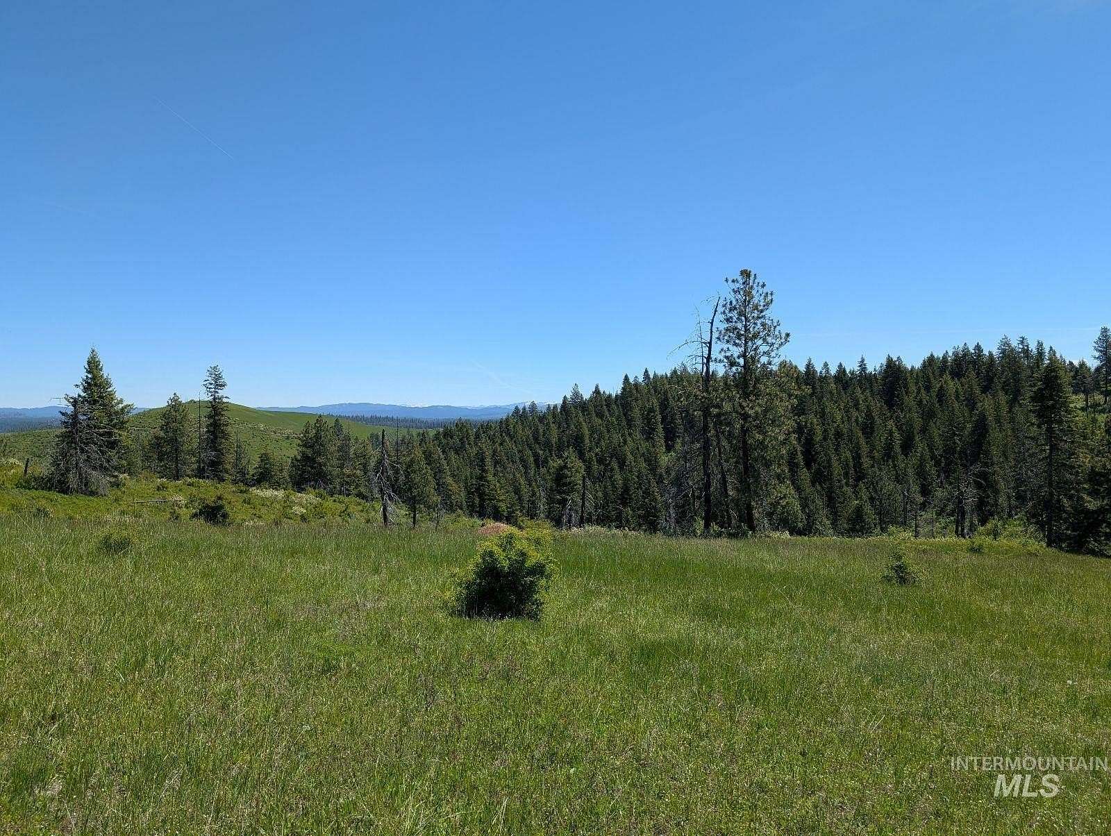 7 Acres of Residential Land for Sale in Kamiah, Idaho