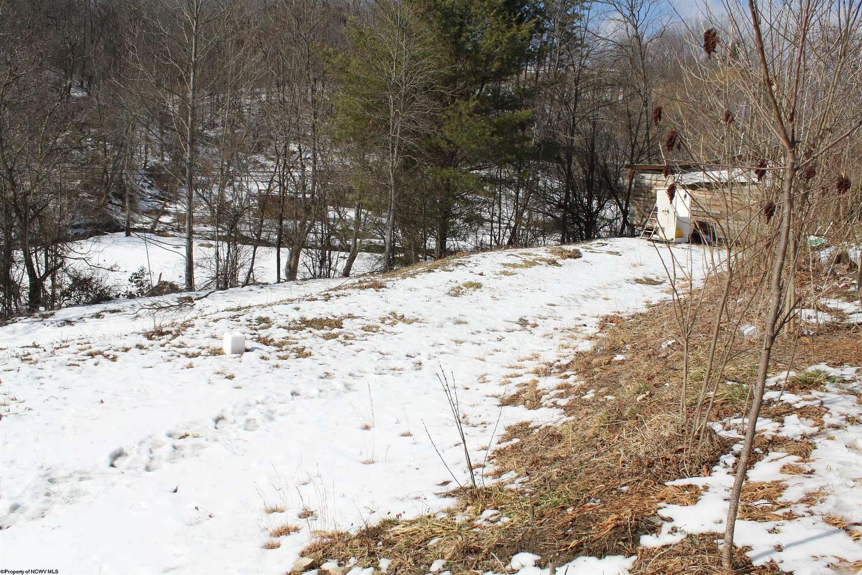0.67 Acres of Residential Land for Sale in Camden on Gauley, West Virginia