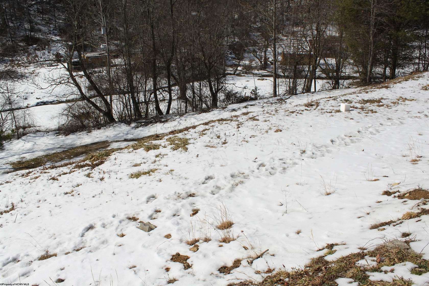 0.67 Acres of Residential Land for Sale in Camden on Gauley, West Virginia