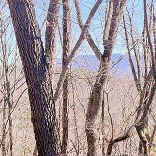 2.48 Acres of Land for Sale in Ellijay, Georgia