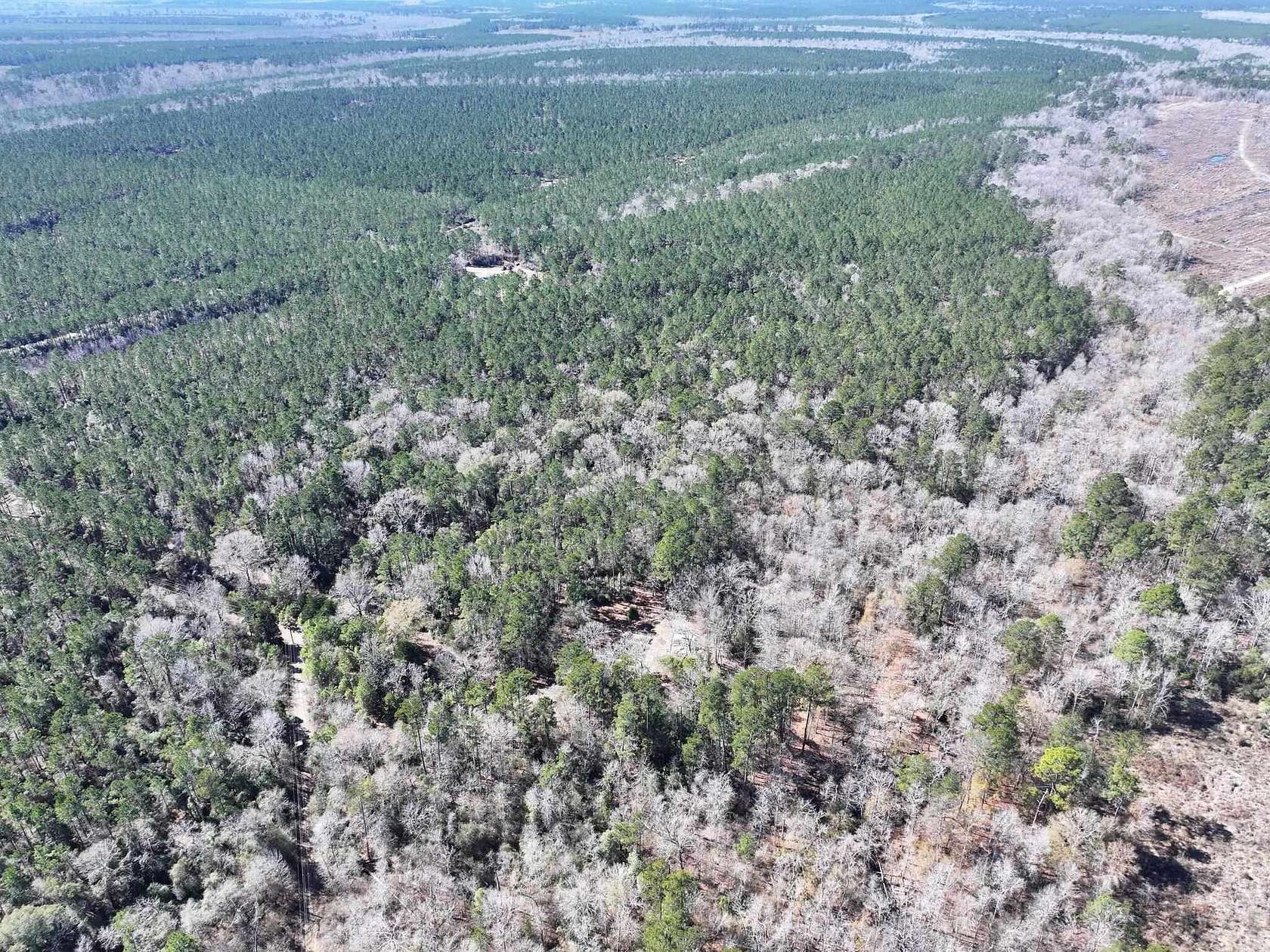 11.7 Acres of Recreational Land for Sale in Bon Wier, Texas