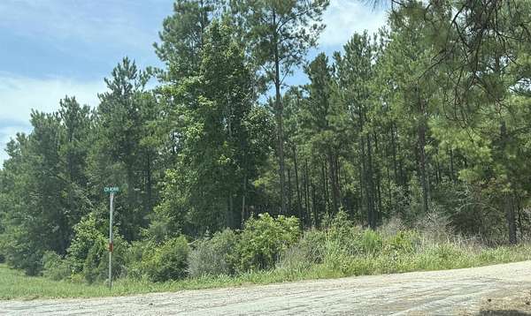 11.7 Acres of Recreational & Residential Land for Sale in Bon Wier, Texas