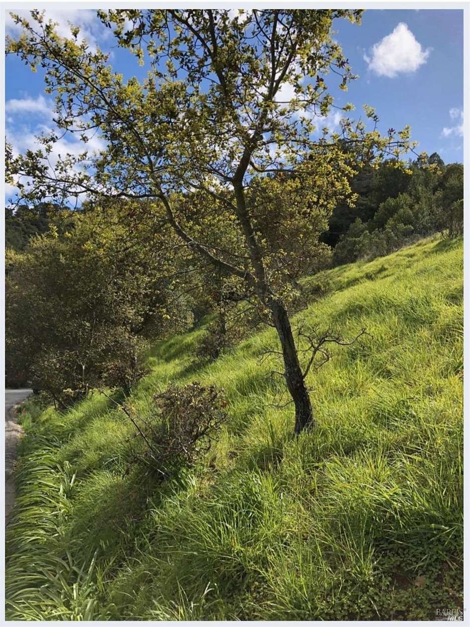 0.23 Acres of Residential Land for Sale in San Rafael, California