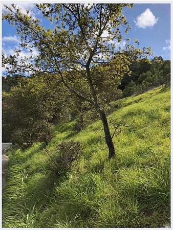 0.23 Acres of Residential Land for Sale in San Rafael, California