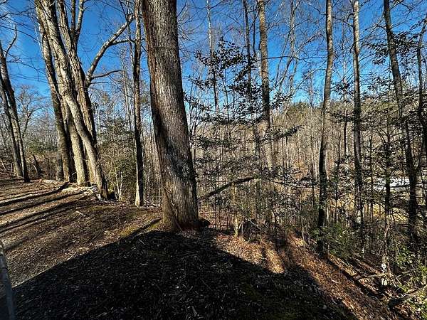 1 Acre of Residential Land for Sale in Whittier, North Carolina