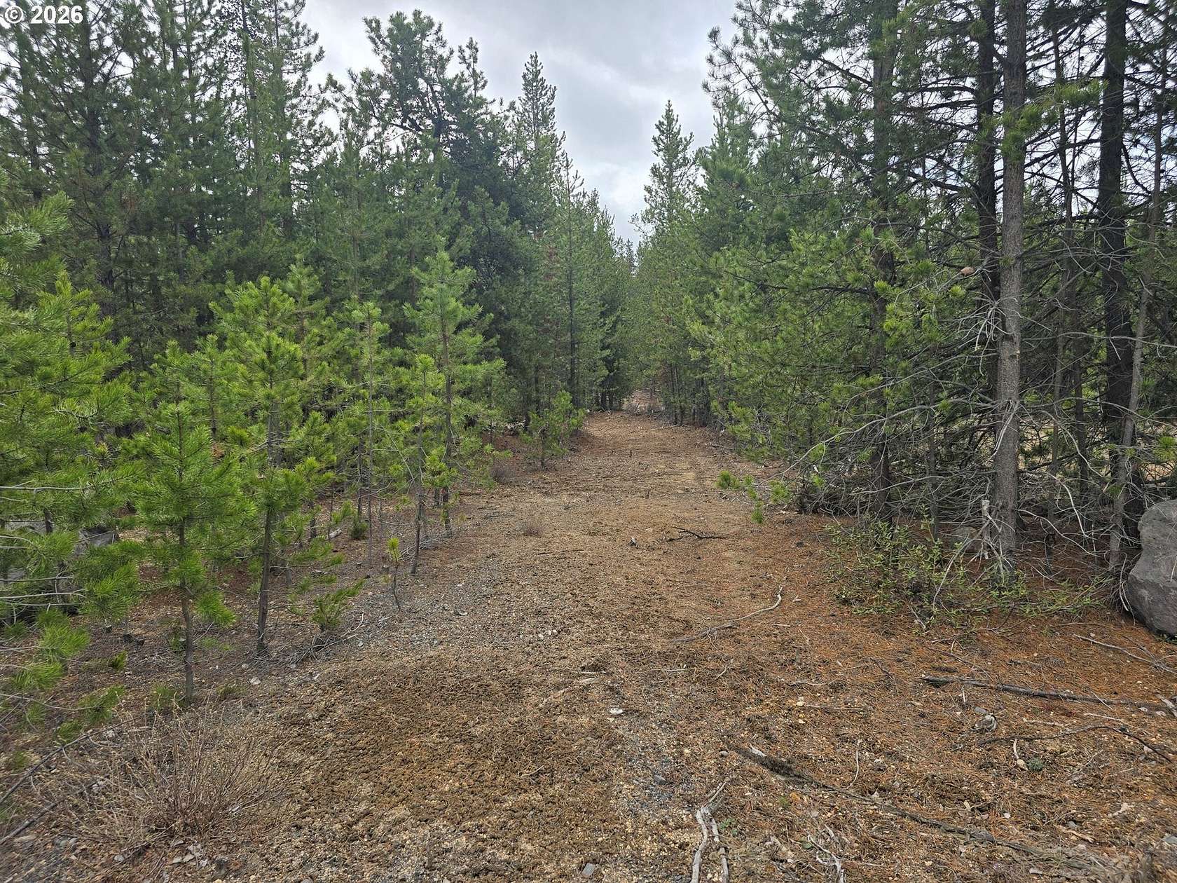 1 Acre of Residential Land for Sale in Crescent, Oregon