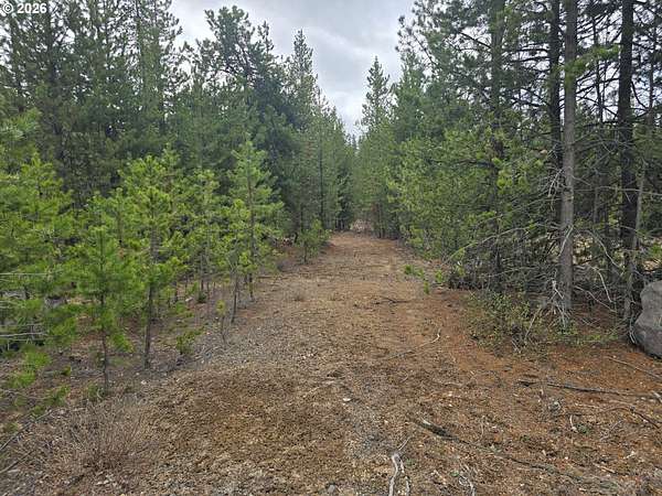 1 Acre of Residential Land for Sale in Crescent, Oregon
