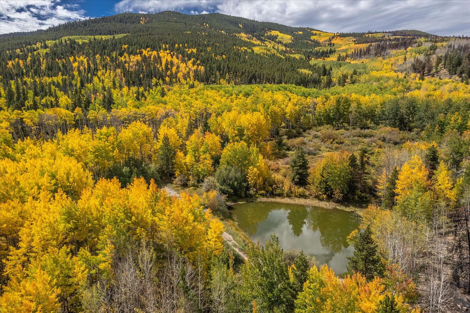 329 Acres of Land for Sale in Twin Lakes, Colorado