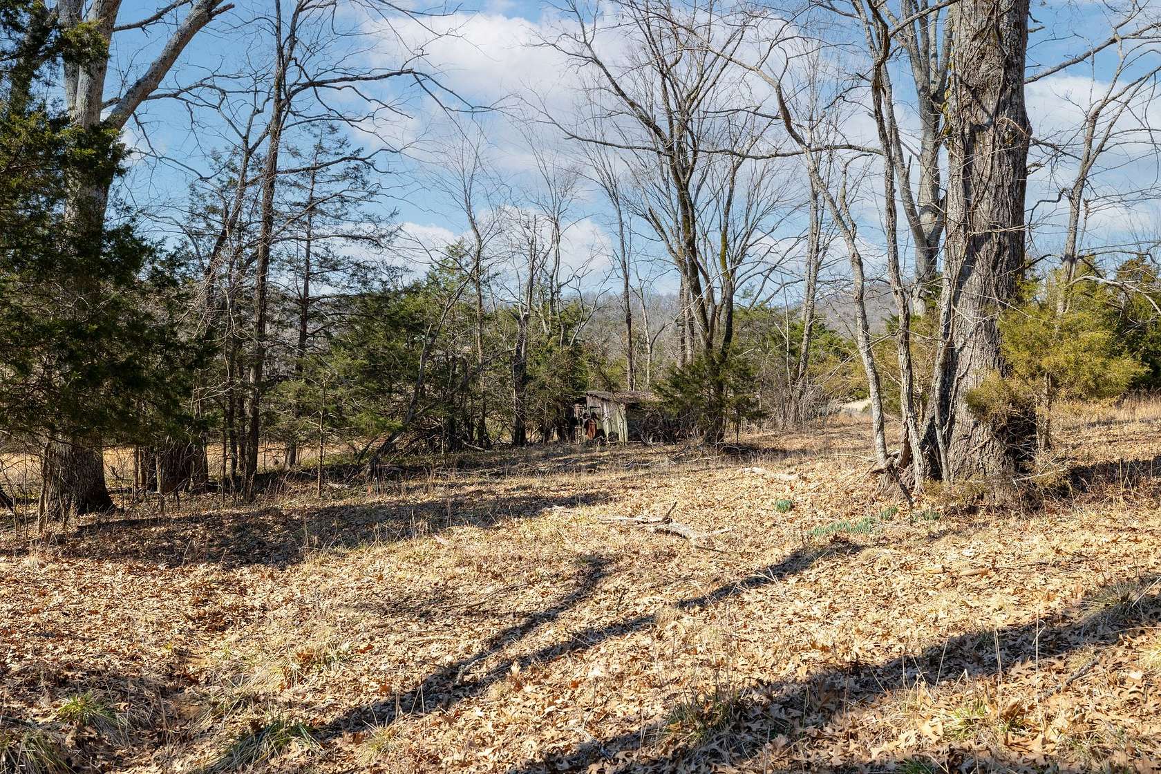 45.4 Acres of Recreational & Residential Land for Sale in Arrington, Tennessee