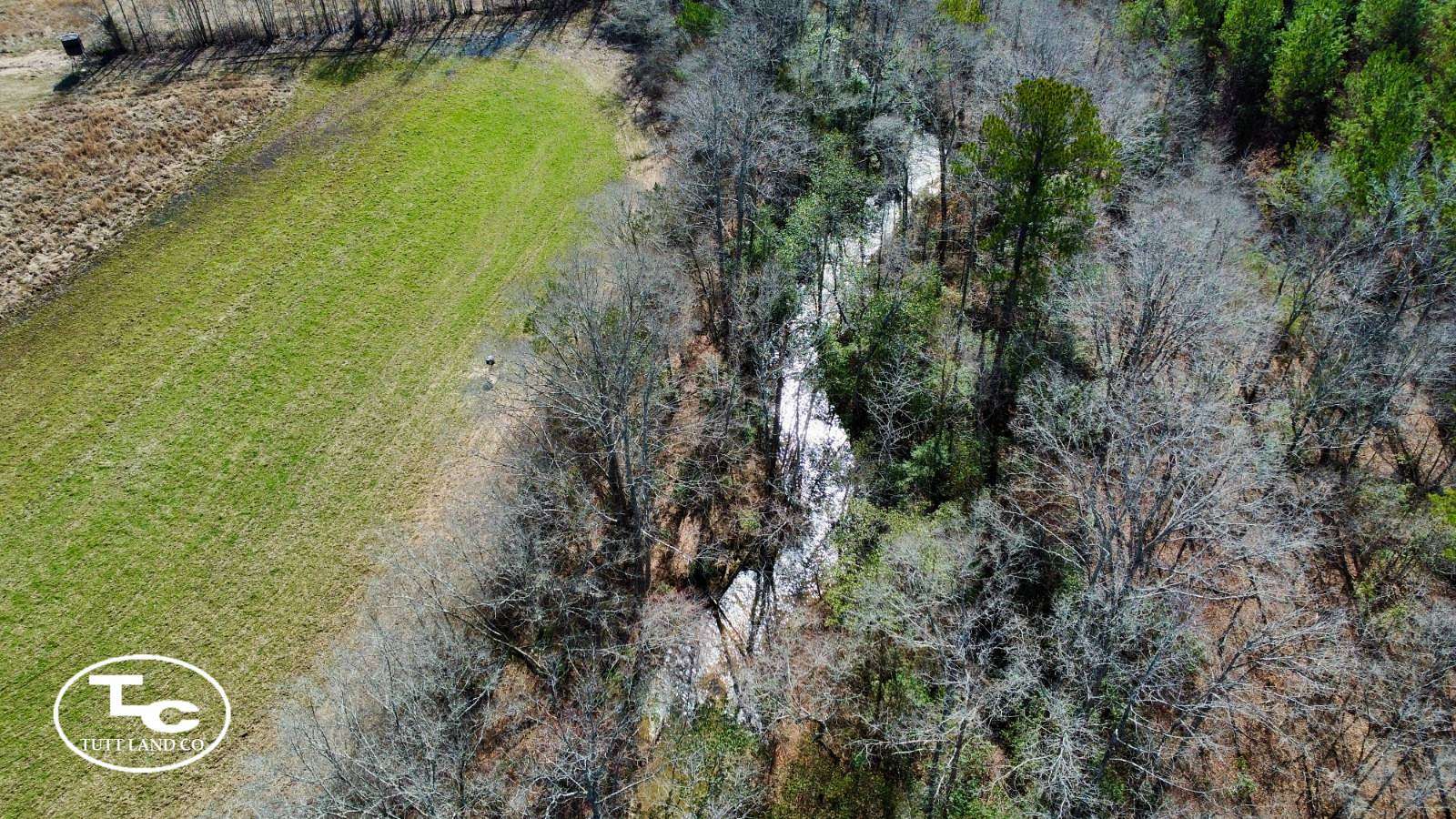 116 Acres of Land for Sale in Bankston, Alabama