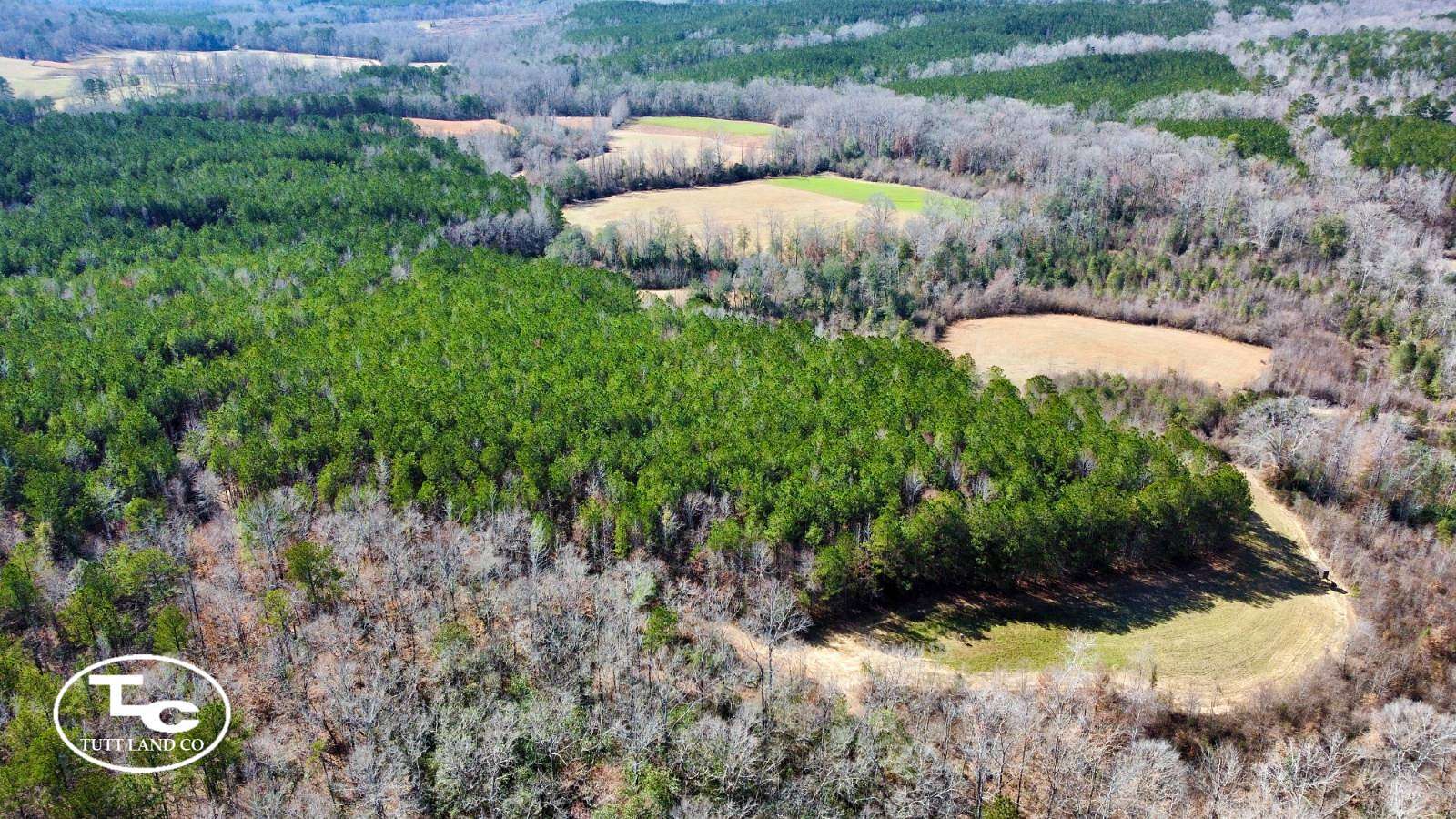116 Acres of Land for Sale in Bankston, Alabama