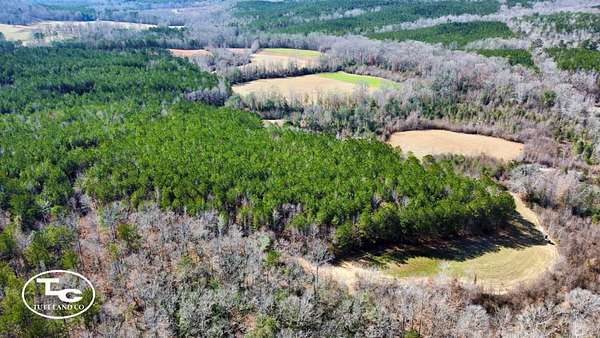 116 Acres of Land for Sale in Bankston, Alabama