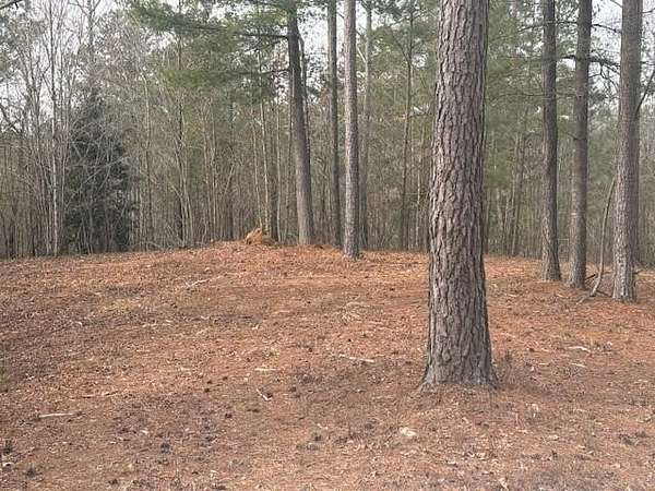 9.36 Acres of Land for Sale in Talking Rock, Georgia