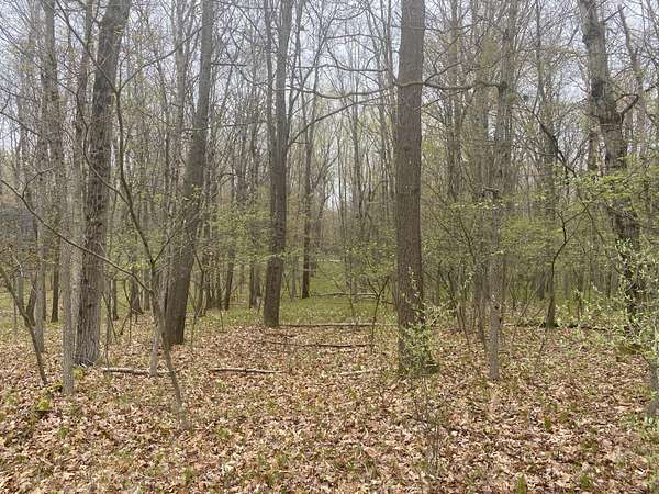 0.23 Acres of Land for Sale in Canadian Lakes, Michigan