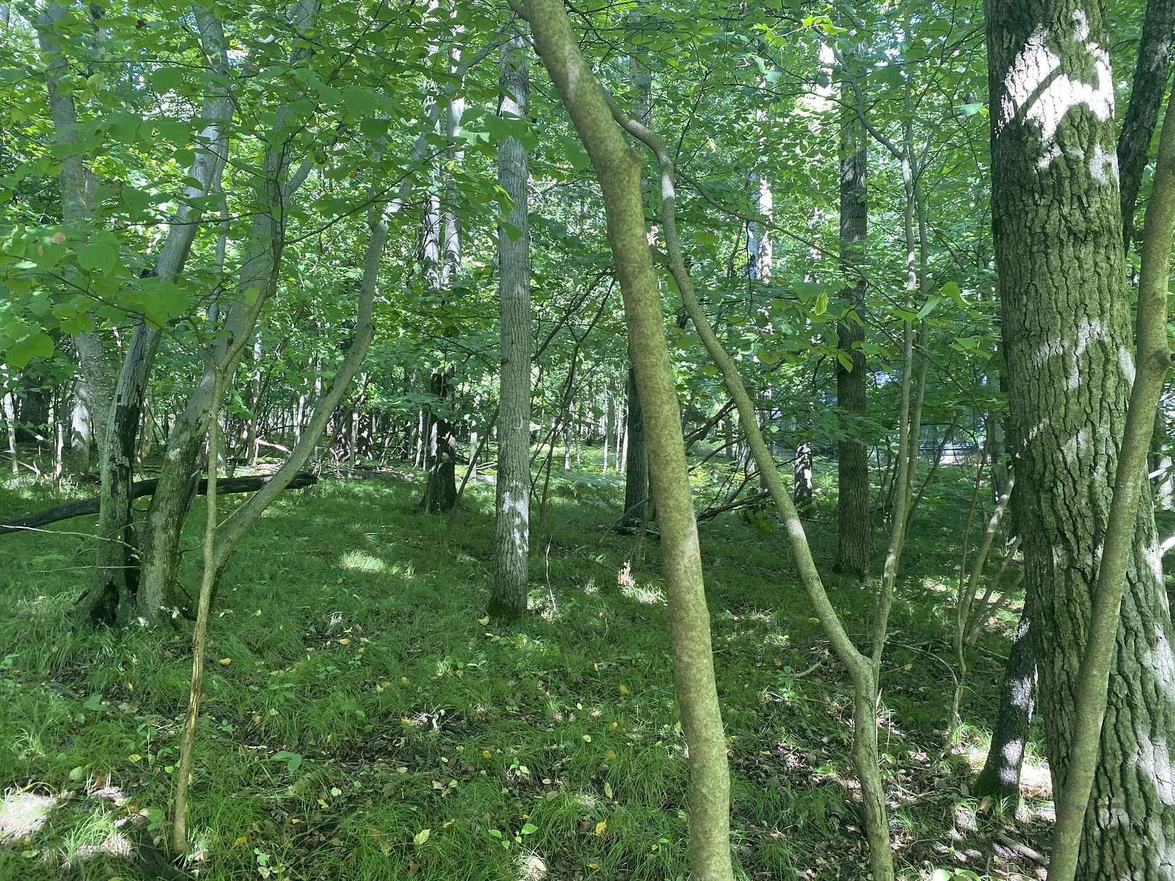 0.23 Acres of Land for Sale in Canadian Lakes, Michigan