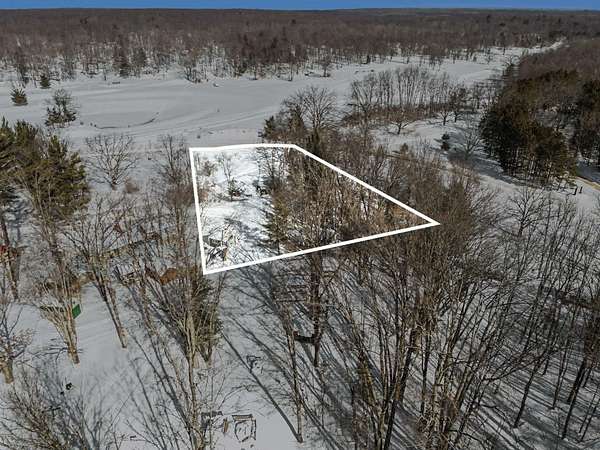 0.26 Acres of Land for Sale in Custer, Michigan