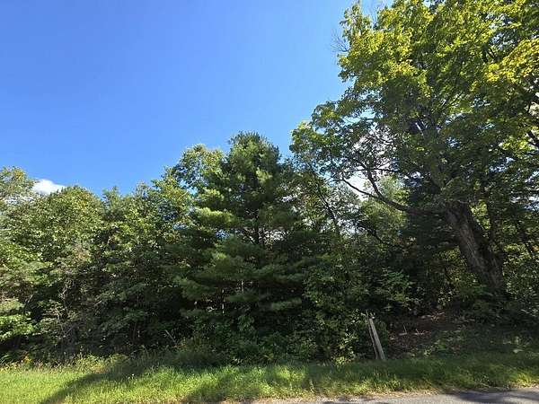 50 Acres of Recreational & Residential Land for Sale in Luther, Michigan
